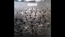 Sume – Sumut  Rock, Folk Rock, Prog Rock, Psychedelic Rock, Political 1973