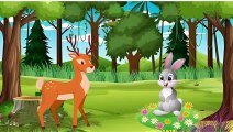 Story of a rabbit and deer || Short cartoon story || Cartoon animation