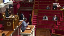 2ème séance :  Pavoisement des drapeaux français et européen sur le fronton des mairies (suite)  - Mardi 9 mai 2023