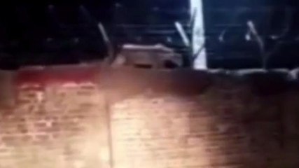 Viral: आर्डिनेंस फैक्ट्री की बाउंड्री पर दिखा तेंदुआ,दहशत में लोग,देखें Video