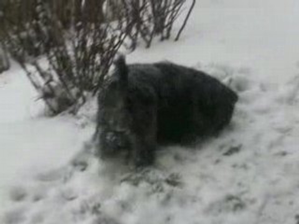 Vacances au ski Mars 2008