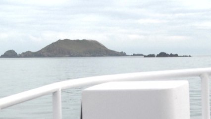 Cette île privée bretonne est à vendre