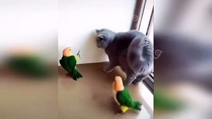 New Funny Videos 2023  Cutest Cats and Dogs  Part 17