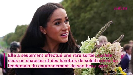 Video herunterladen: Meghan Markle épinglée : absente du couronnement, elle s'est livrée à une toute autre activité