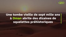 Oman : une tombe vieille de sept mille ans abrite des squelettes préhistoriques