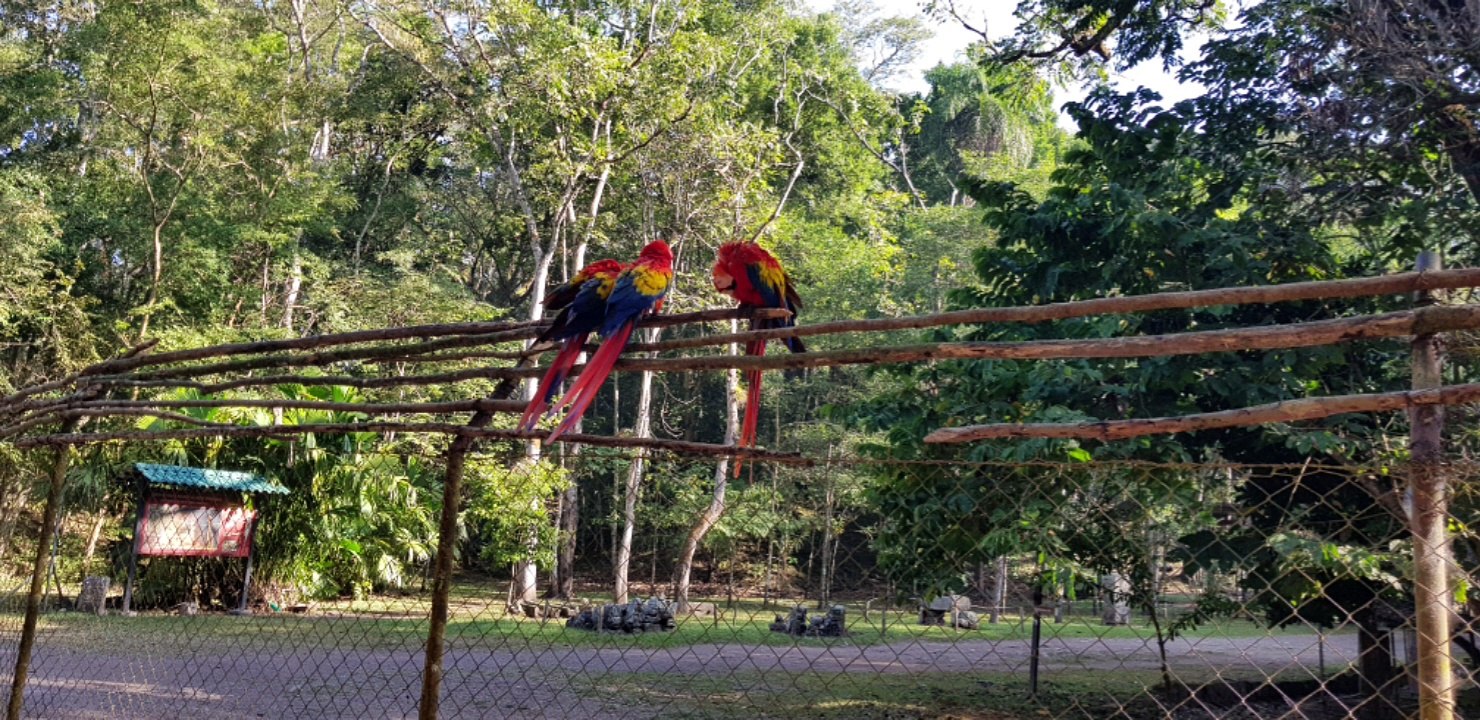 JOUR 7 en HONDURAS