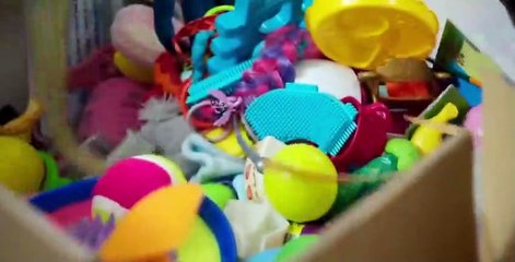 Sort Your Life Out With Stacey Solomon S01 E04