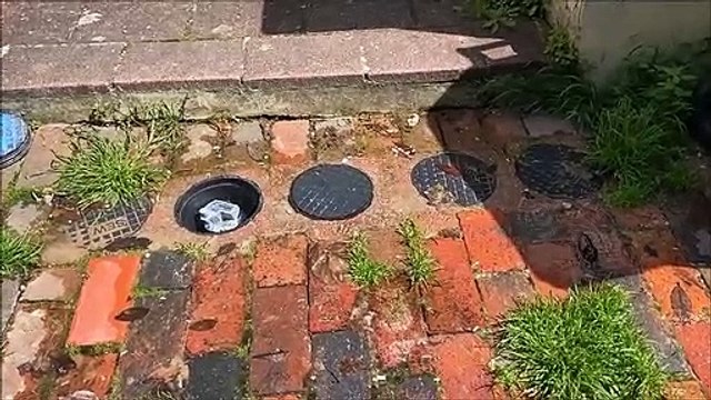 'Gallons must be wasted weekly': Water leak on Eastbourne road has been ongoing for three months, according to resident