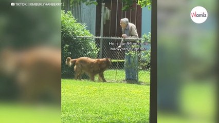 Son voisin de 94 ans s'approche de la clôture : il a un geste qui émeut 220K personnes aux larmes (vidéo)