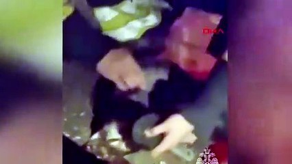 Bilinci kapalı kediyi böyle hayata döndürdüler