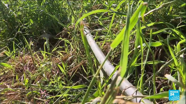 France : alerte sécheresse maximale dans les Pyrénées-Orientales