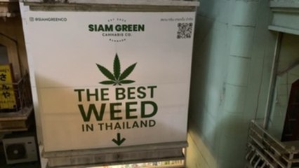 El lucrativo negocio del cannabis ahoga las elecciones tailandesas en la controversia