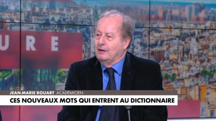 Descargar video: Jean-Marie Rouart : «L'Académie française ne devrait se consacrer qu'à défendre la langue française contre le franglais»