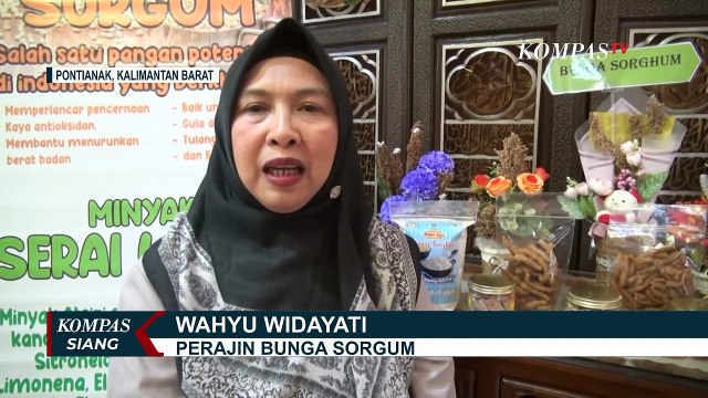 Keren! ASN di Pontianak Sukses Mengolah Tanaman Sorgum jadi Hiasan hingga Makanan