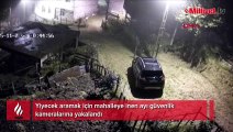 Mahalleye inen ayıların gezintisi kamerada