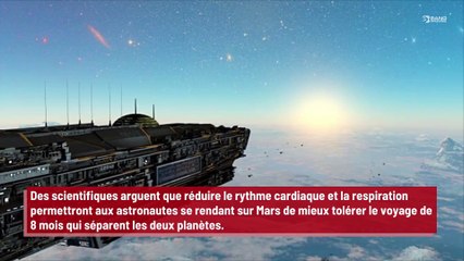 Les hommes devraient hiberner comme les ours pour gérer les longs voyages intergalactiques !