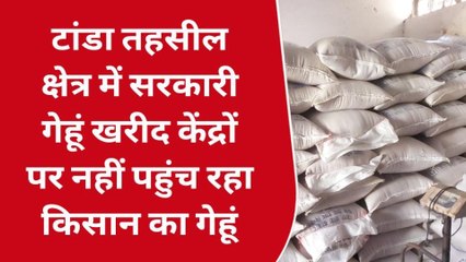रामपुर: नवीन सब्जी मंडी में स्थापित 13 गेहूं क्रय केंद्रों पर मात्र 92 कुंटल गेहूं खरीद