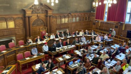 Tree campaigner reads out STAG's statement on tree inquiry