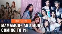 MAMAMOO , Kep1er, Lapillus to hold joint concert in PH
