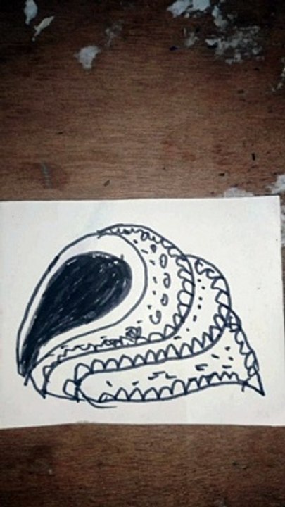 How to draw Conch