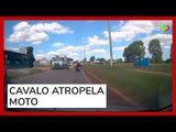 Motociclista é atropelado por cavalo no Distrito Federal