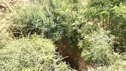 दौसा. अनियंत्रित बाइक 40 फीट गहरे सूखे कुएं में गिरी, एक युवक की मौत व दो घायल