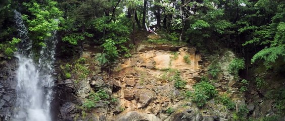 Gigi y Nate - Tráiler español