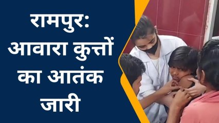 रामपुर: मौसम गर्म होते ही बढ़ने लगें डॉग अटैक के मामले, बड़ी संख्या में अस्पताल पहुंच रहे मरीज