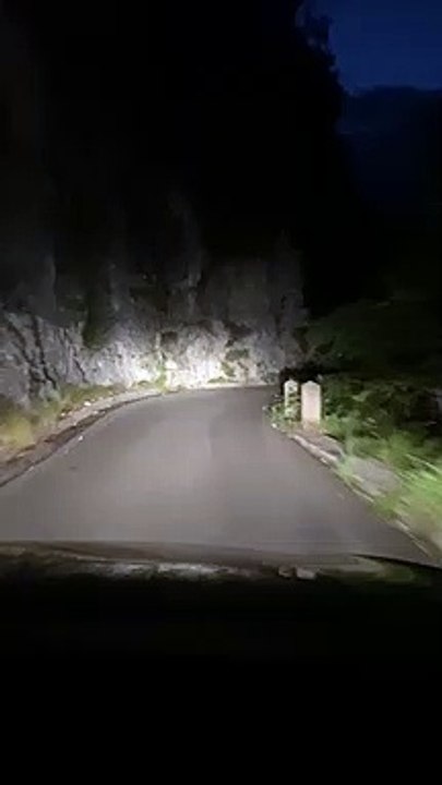 Bärensichtung