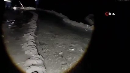 Van'da 2 ton inci kefali kurtarıldı