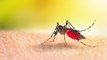 bd-evitar-propagacion-de-insectos-y-mosquitos-en-epoca-lluviosa-110523