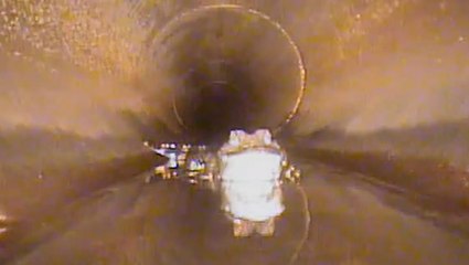 Alligator comes face-to-face with robot while hiding in storm drain