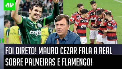 "NÃO TEM COMPARAÇÃO! O Flamengo, AO CONTRÁRIO do Palmeiras, NÃO..." Mauro Cezar FALA A REAL!