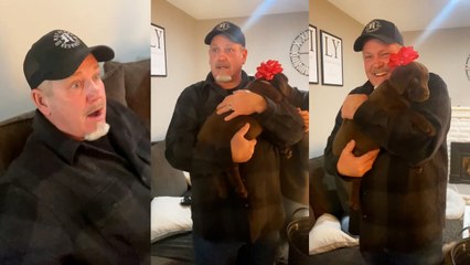Dad's New Sidekick: The Adorable Chocolate Labrador!