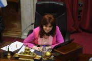 Así fue la domada de CFK a Martín Lousteau en el Senado