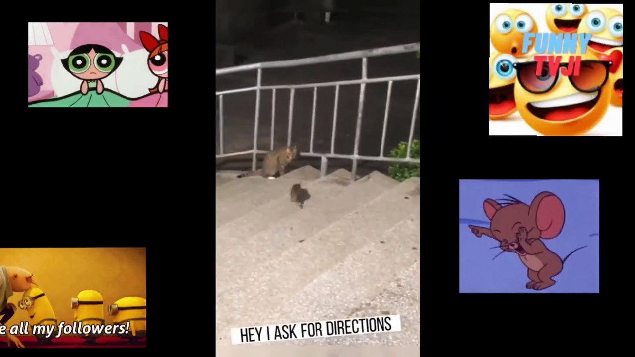FUNNY TOM AND JERRY 8