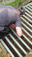 Rescuing a Trapped Hedgehog and Nursing it Back to Health