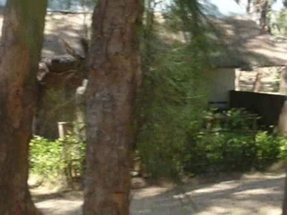 Akif à Mada