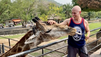 Khao Kheow Open Zoo Pattaya Thailand ~ สวนสัตว์เปิดเขาเขียว