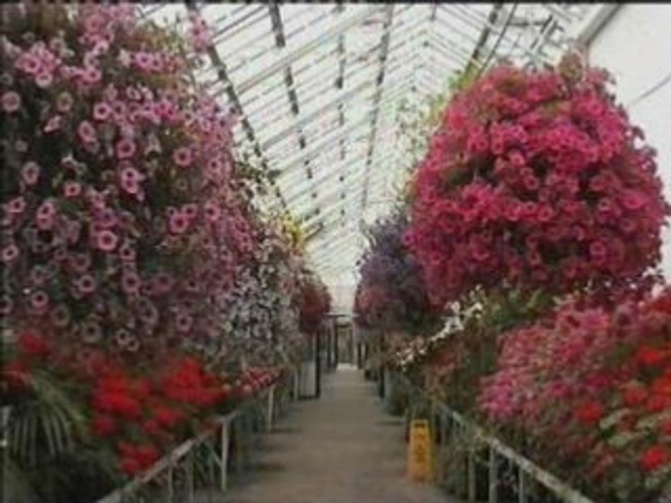DIAPORAMA  DE  L'ECOSSE