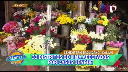 Cementerio Baquijano del Callao permanece cerrado por casos de dengue