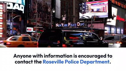 Getting My Belle tire roseville michigan To Work