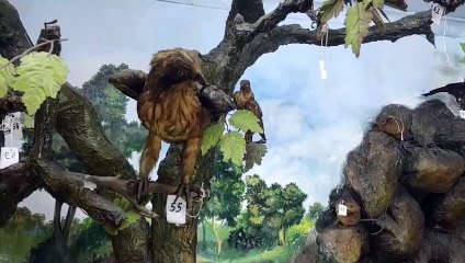 ये पेंटिंग नहीं, जंगली जानवरों की बरसों पुरानी खाल है