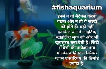 #fishaquarium देसी एक्वेरियम की जगह न्यू जनरेशन के फिश टैंक बने पसंदीदा