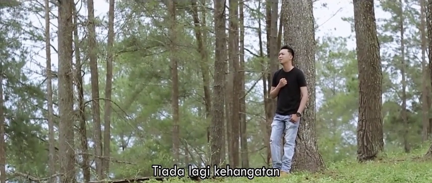 HARRY PARINTANG - DEMI KAU DAN SI BUAH HATI PANCE PONDAAG COVER