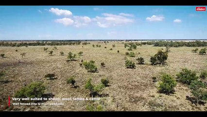 Bullarora, Coonamble, NSW - May 12, 2023 - Farmonline