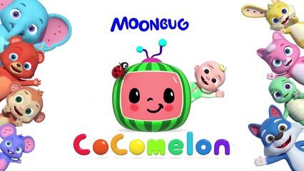 Yes Yes Vegetables Dance Party - CoComelon Animal Time - Healthy Habits for Kids