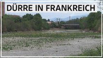 Dürre in Frankreich: Behörden rufen 