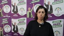 Yeşil Sol Parti Artvin Milletvekili Adayı Fulden Şahin: 'Tek anahtar biziz bu süreçte'