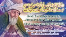 Molana Rumi Quotes | Urdu hindi English Best Quotes |